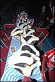 139.jpg