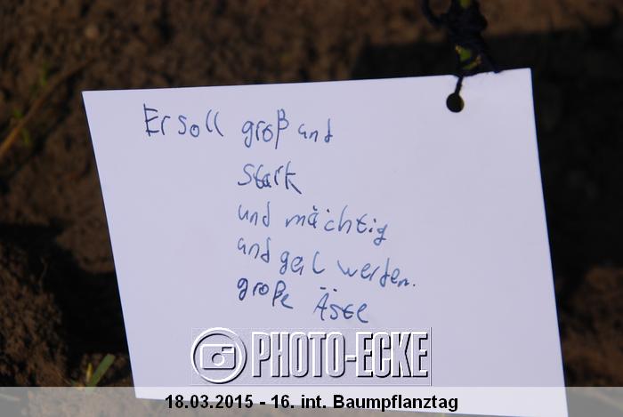 052.jpg