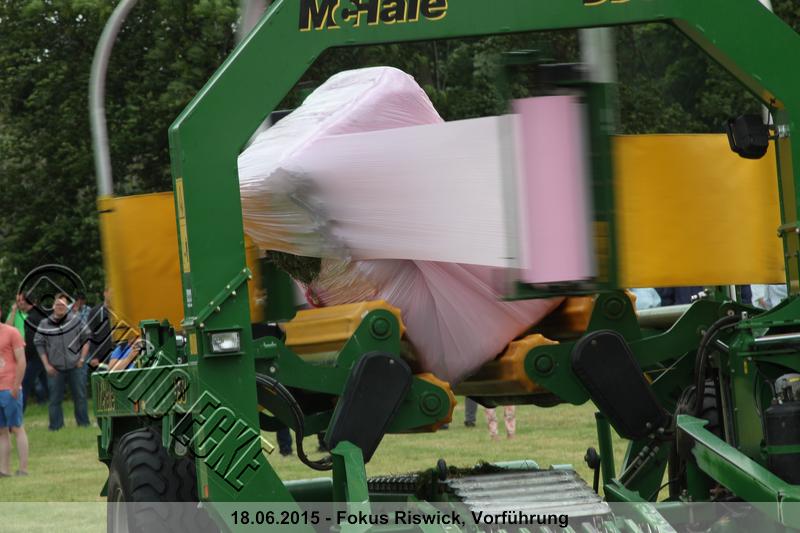 203.jpg