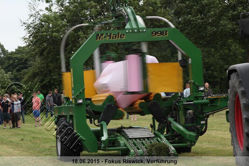 204.jpg